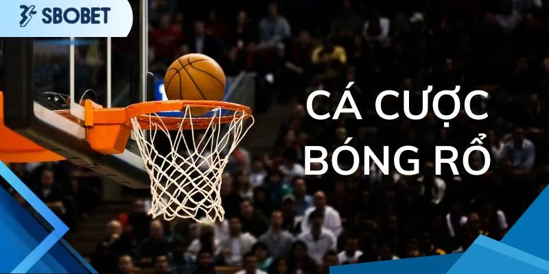 Cách Chơi Cược Bóng Rổ - Những Trận Đấu Đỉnh Cao Tại NBA